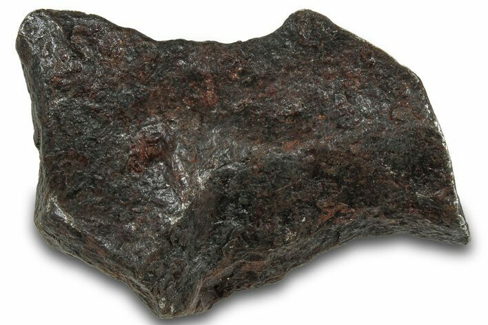 Canyon Diablo Iron Meteorite ( g) - Arizona #319631